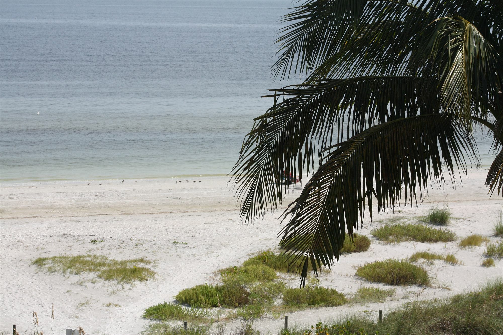 Aparthotel Ocean'S Reach à Sanibel Extérieur photo